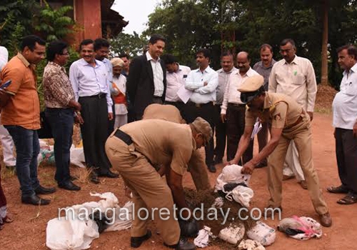 DK administration destroys 18 kg seized ganja 1